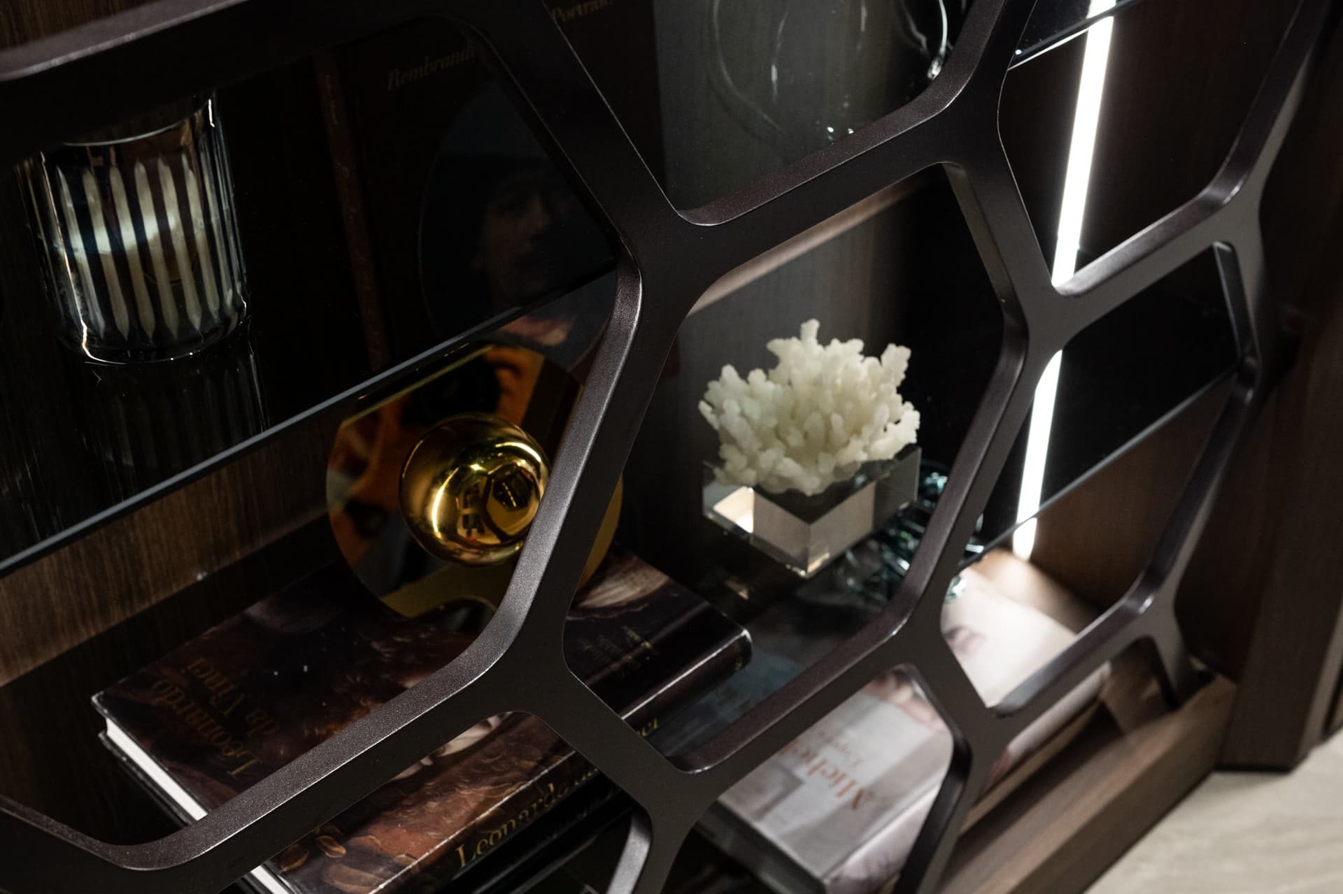 Organic-cell black metal display shelf with coral and crystal objects