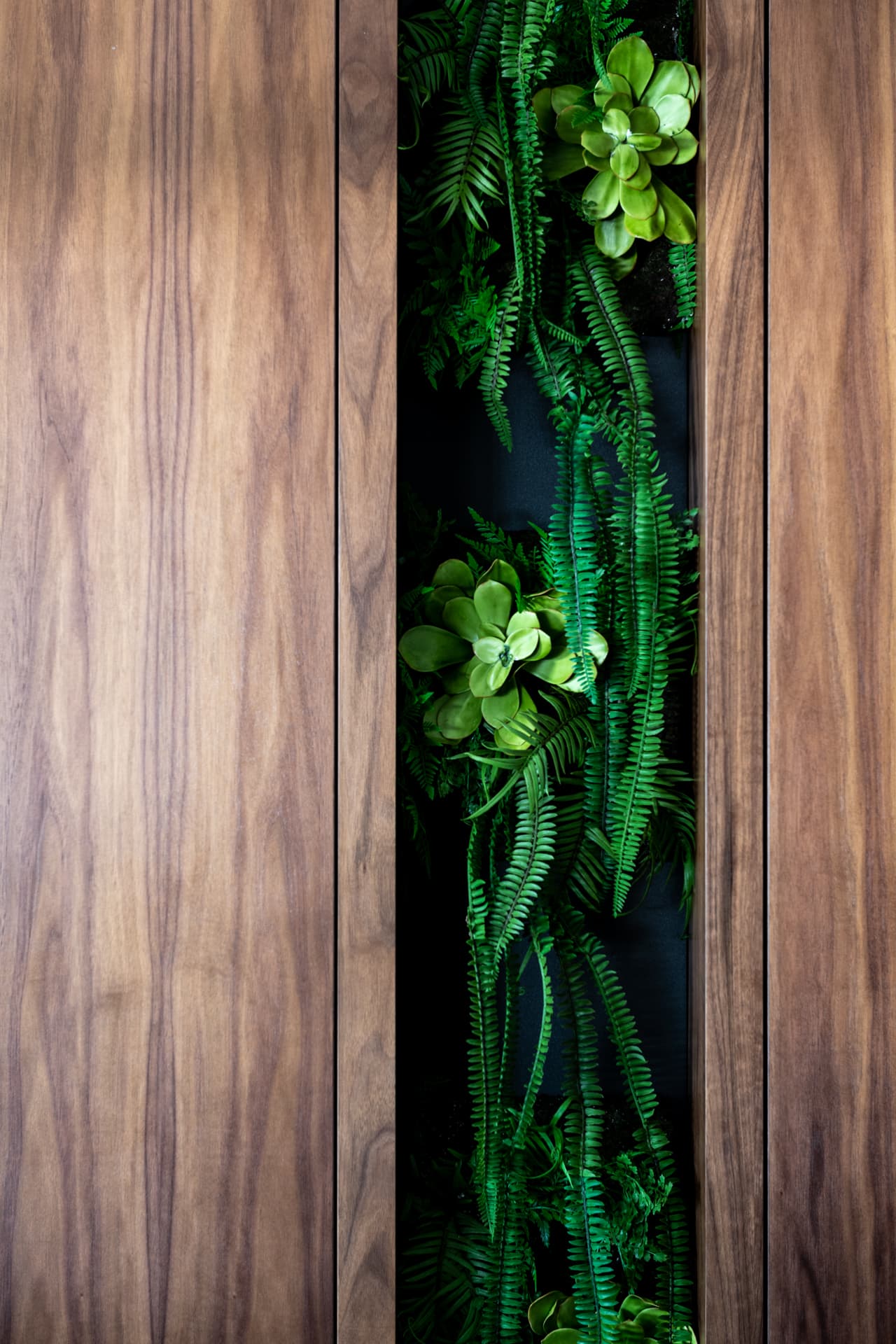 Matte black track lighting against dark walnut ceiling panel
